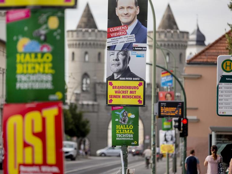 Das Foto zeigt Wahlplakate in Potsdam.