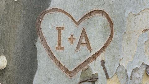 In Baumrinde eingeritztes Herz mit Buchstaben I und A