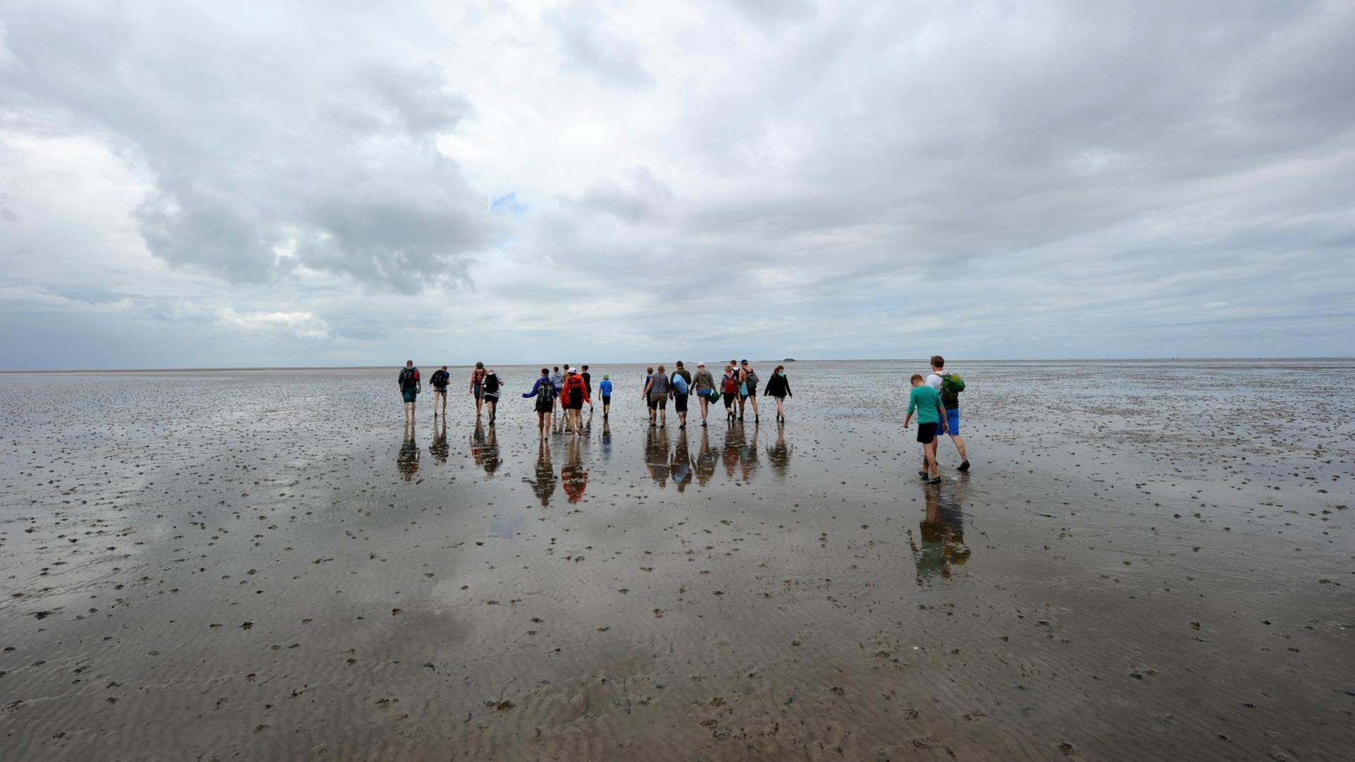 Eine Gruppe von Wattwanderern geht am 13.07.2016 über den Grund der Nordsee ziwschen der Insel Pellworm und der Hallig Süderoog (Schleswig-Holstein)