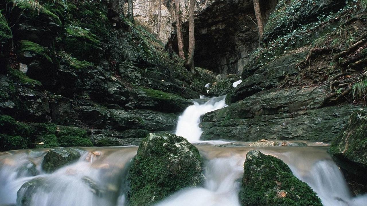 Wasser des Baches Elsach fließt aus dem dem Eingang der Falkensteiner Höhle heraus.
