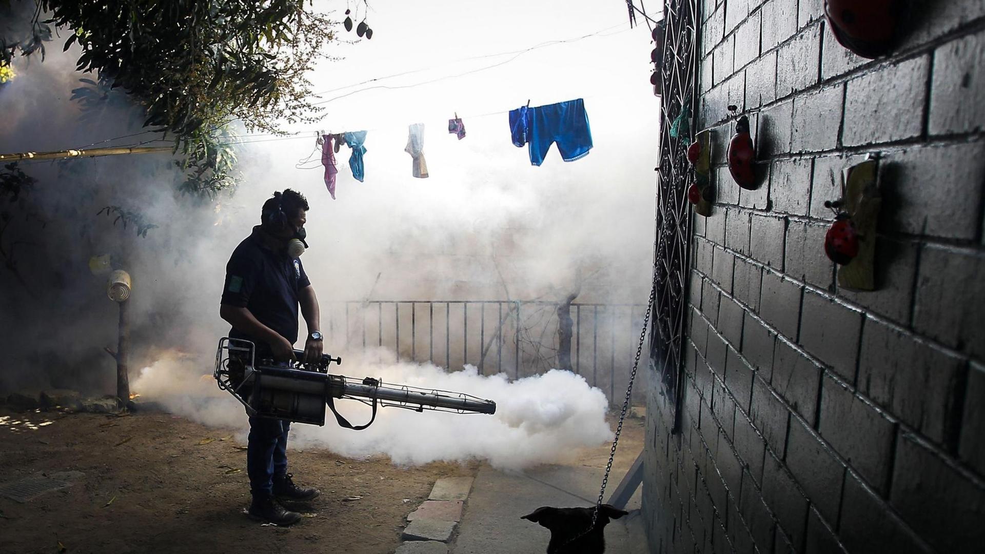 Ein Mitarbeiter des Gesundheitsministeriums von El Salvador bekämpft Mücken.