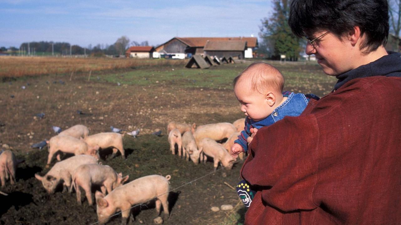 Eine Mutter und ihr Baby betrachten eine Herde junger Schweine.