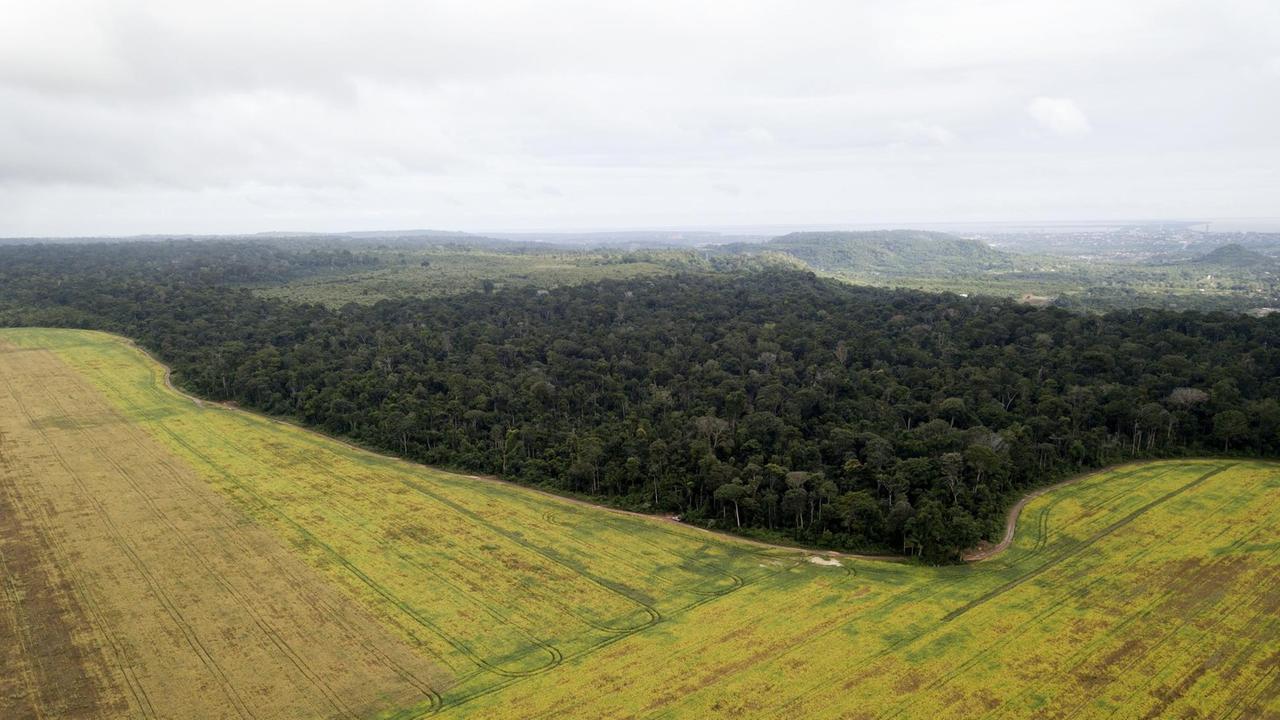 Luftaufnahme von Sojafeldern in Pará
