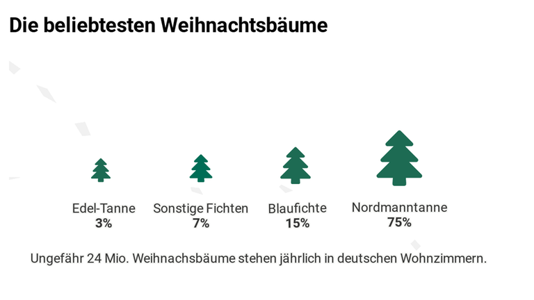 Die Grafik zeigt vier Weihnachtsbäume in unterschiedlichen Größen nach Beliebheitsgrad in Deutschland. Am beliebtesten ist die Nordmanntanne mit 75 Prozent, gefolgt von Blau-Fichte mit 15 Porzent, sonstigen Fichten mit 7 Prozent und Edel-Tanne mit 3 Prozent.