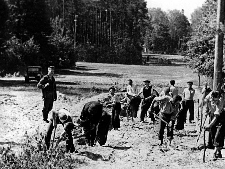 Während der Besetzung Polens durch die deutsche Wehrmacht mussten Juden - wie hier beim Straßenbau - Zwangsarbeit verrichten (undatierte Aufnahme). Die Stiftungsinitiative der Deutschen Wirtschaft hat am 22.5.2001 den Weg für die Entschädigungszahlungen an ehemalige NS-Zwangsarbeiter frei gemacht. Nach der Abweisung der Sammelklagen in den USA sei jetzt die notwendige Rechtssicherheit gegeben. Die Entscheidung sorgte für Erleichterung im In- und Ausland.