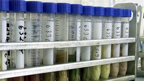 50 Universitäten bilden Biologen aus.