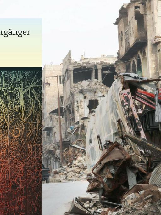 Buchcover: Niroz Malek "Der Spaziergänger von Aleppo"