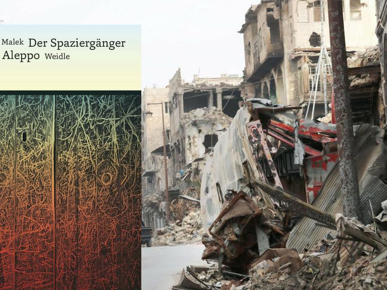 Buchcover: Niroz Malek "Der Spaziergänger von Aleppo"