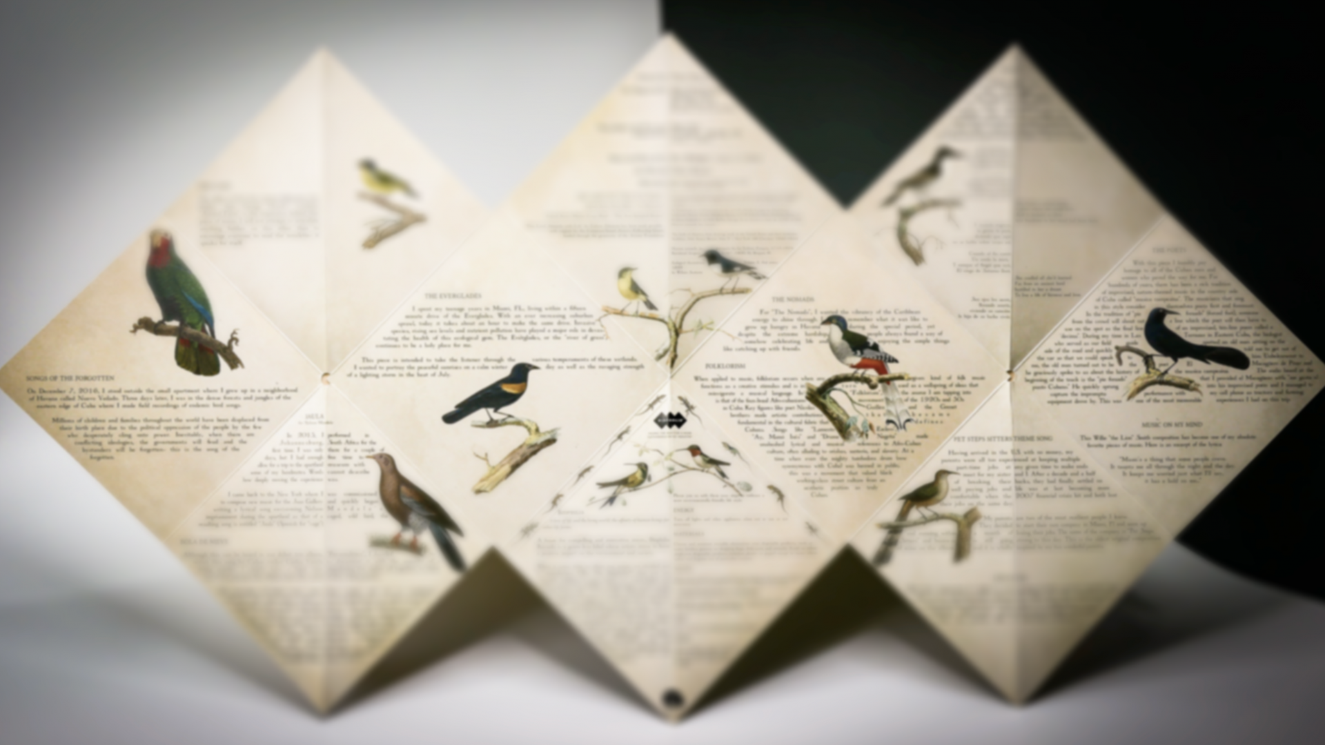 Fabian Almazans neueste Veröffentlichung: Auseinandergefaltetes Papier, bedruckt mit Zeichnungen von Vögeln und Songtexten