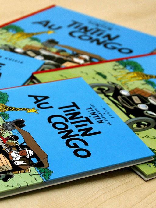 Französische, englische und niederländische Ausgaben des französischen Comics "Tintin" (deutsch: "Tim und Struppi") liegen auf einem Tisch.