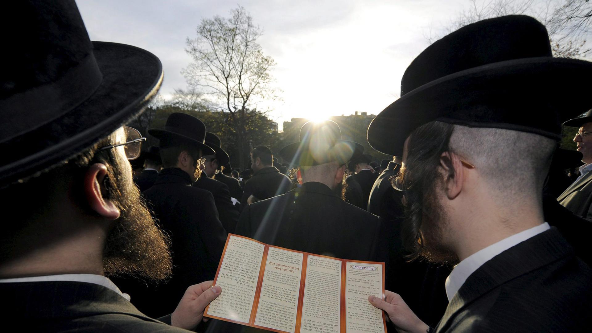 Orthodoxe Juden haben sich in Antwerpen unter freiem Himmel zum Sonnengebet versammelt und schauen in Richtung Sonne.