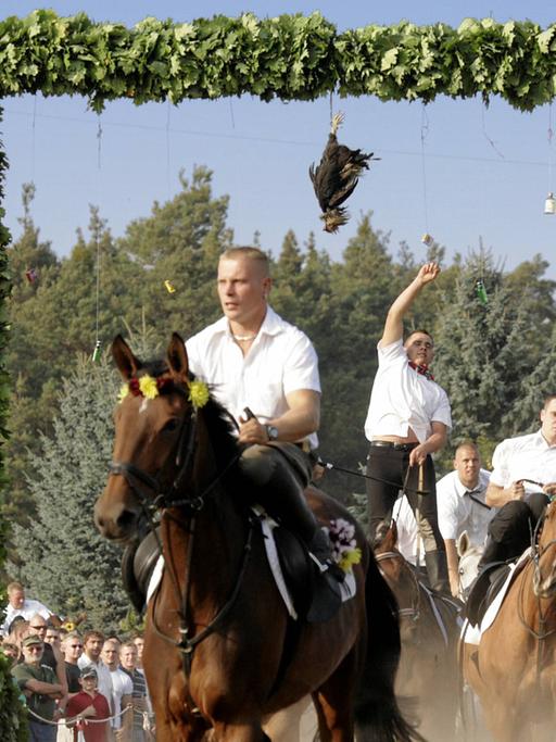 Sorbische Reiter versuchen sich beim traditionellen Hahnrupfen in Fehrow in der Niederlausitz.