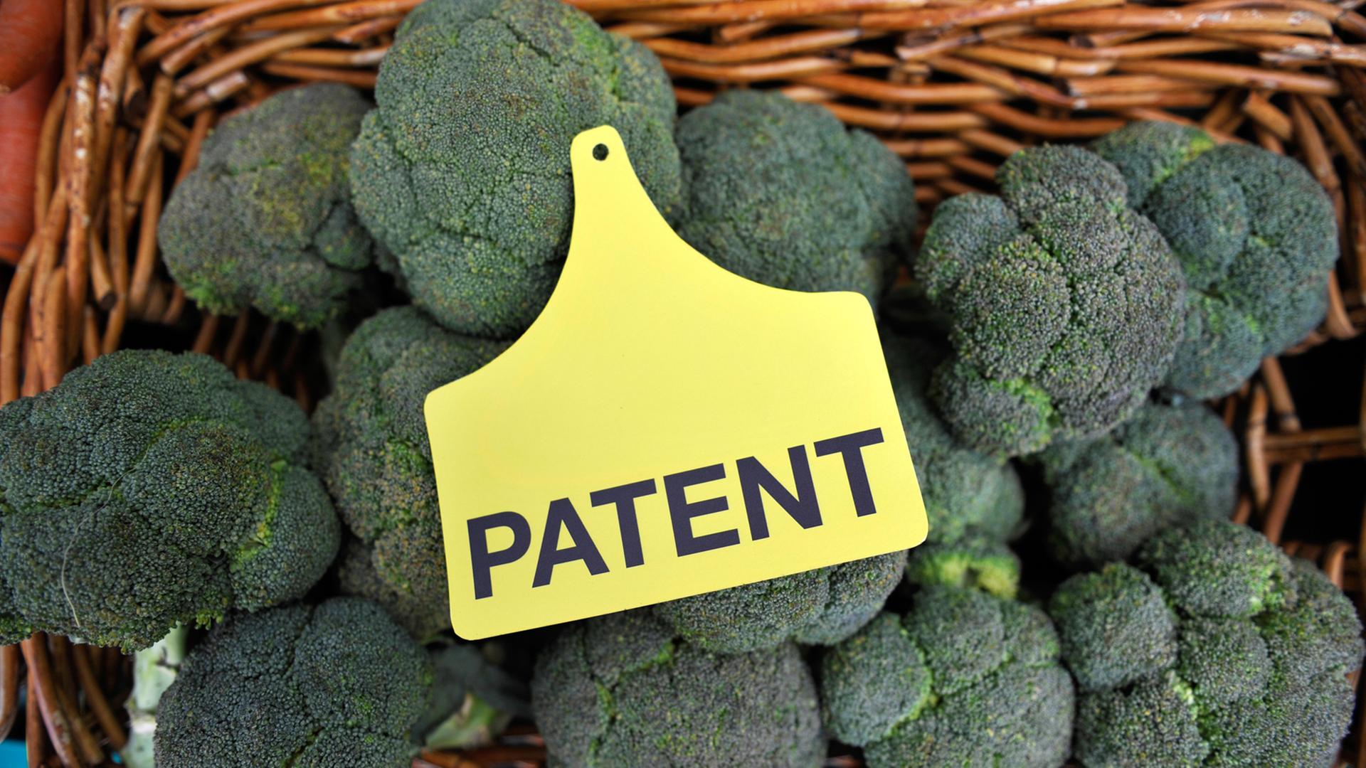 Ein Schild mit der Aufschrift "Patent" liegt auf mehreren Brokkoli vor dem Europäischen Patentamt in München, aufgenommen 2010.