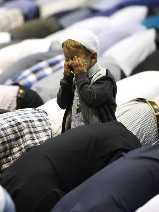 Ein muslimischer Junge sitzt am beim Gebet zum muslimischen Opferfest in Sarajevo zwischen den betenden Gläubigen.