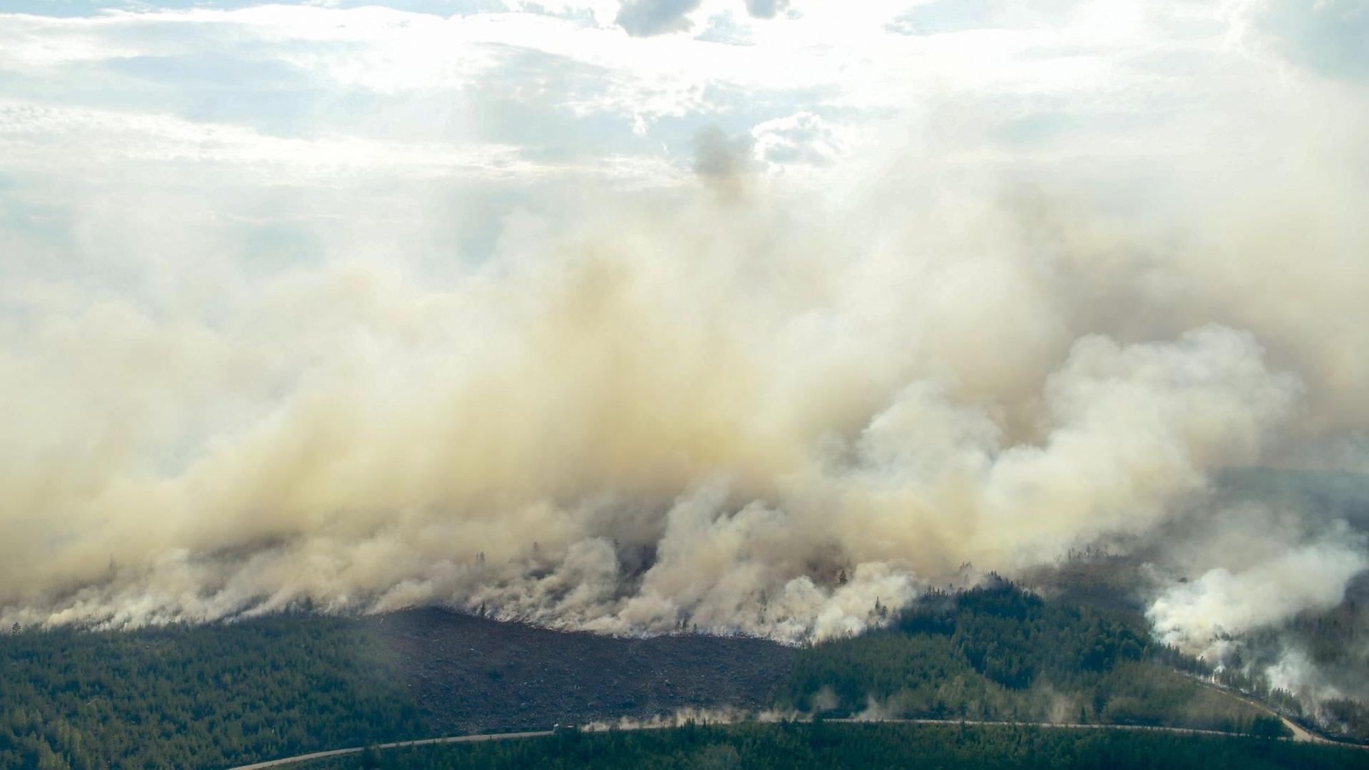 Mehr als 40 Waldbrände wüten in Schweden.