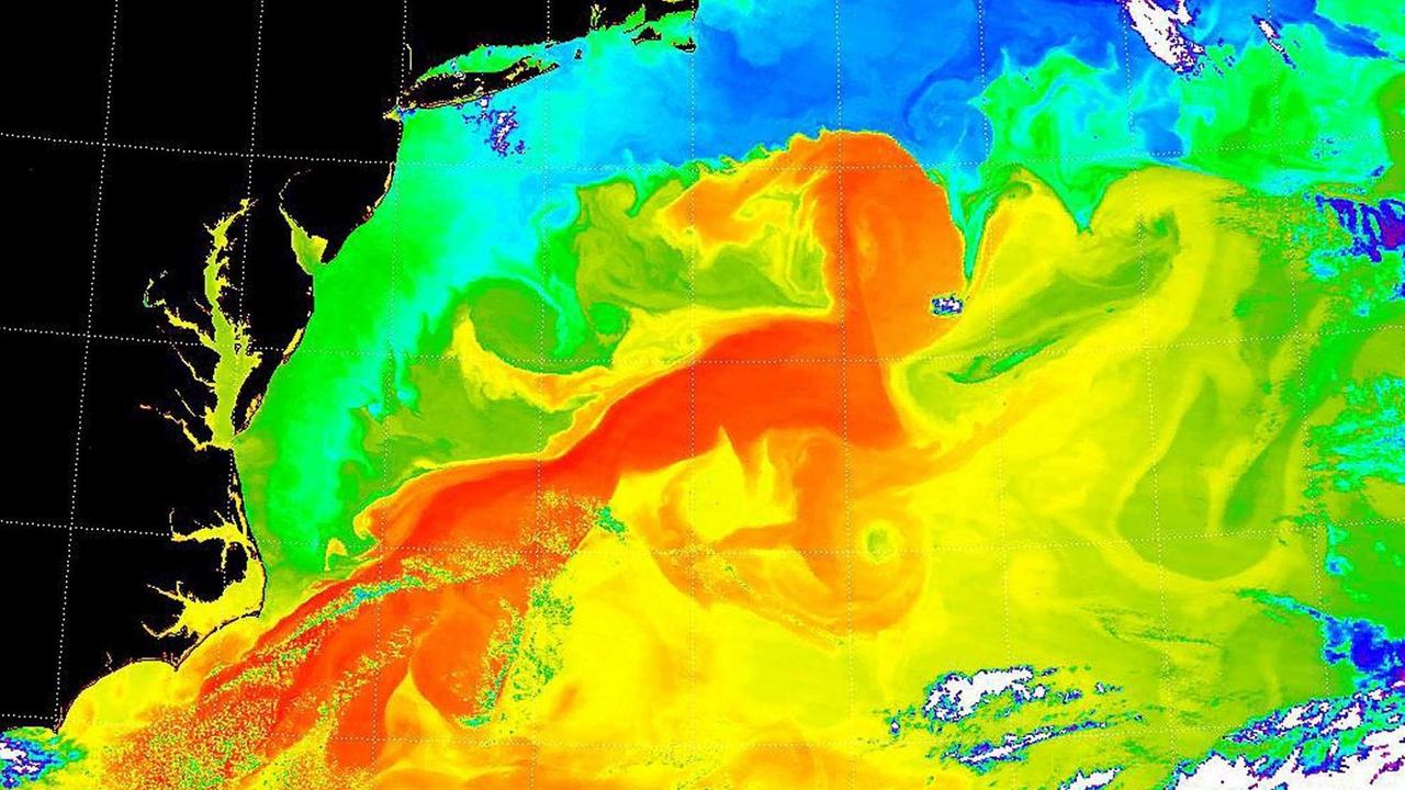 Spektoradiometer-Aufnahme der NASA des Golfstroms - die Oberflächentemperatur wird farblich dargestelle: schwarz und blau (kalt) und rot (warm).