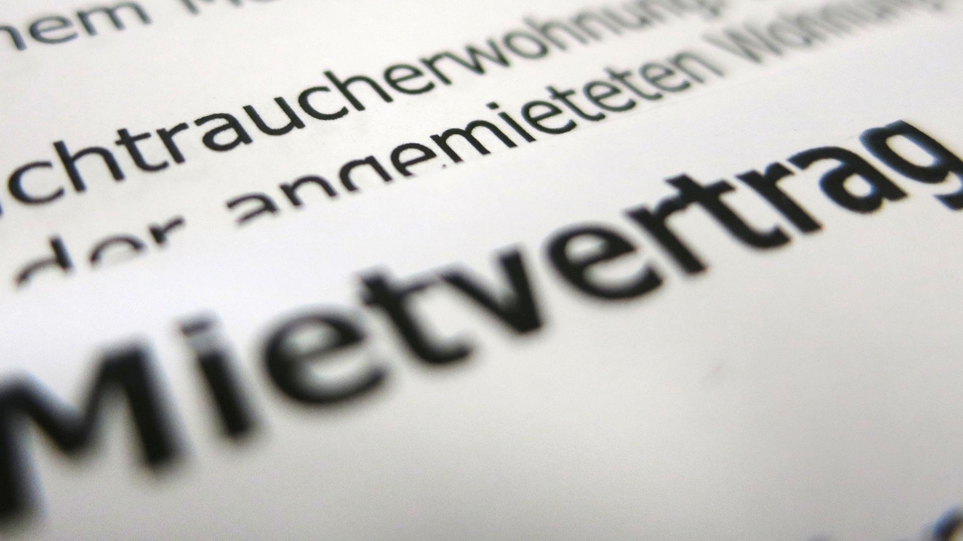 Nahaufnahme eines Auszuges aus einem Mietvertrag, schwarze, gedruckte Schrift auf weißem Papier, die Worte Mietvertrag und Nichtraucherwohnung sind zu lesen