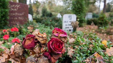 Verwelkte Rosen und Grabsteine stehen auf dem muslimischen Gräberfeld auf dem Friedhof Stöcken in Hannover (Niedersachsen).