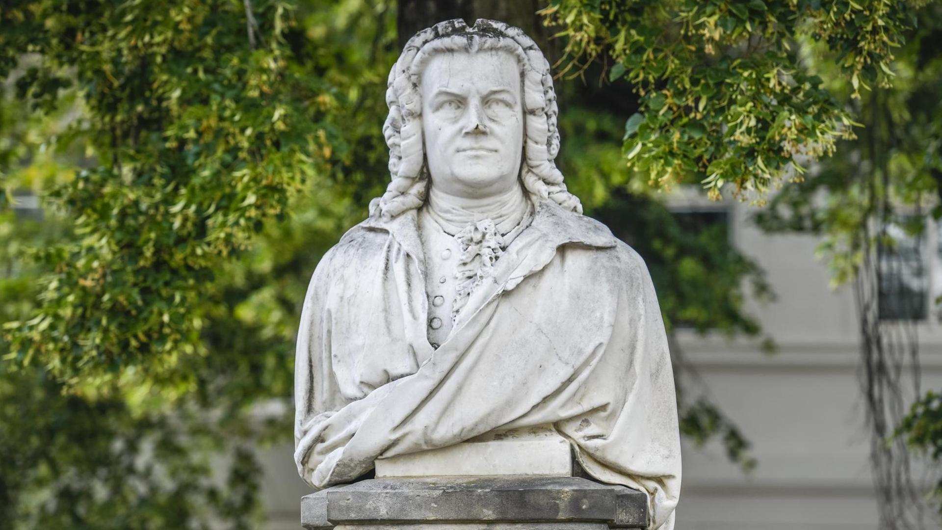 Denkmal Johann Sebastian Bach, Köthen, Sachsen-Anhalt, Deutschland