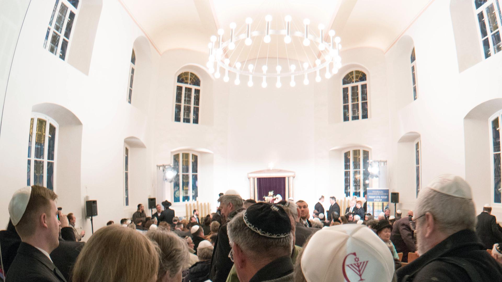 Viele Gäste kommen zur feierlichen Einweihung im Innenraum der neuen Synagog in Cottbus zusammen; im Vordergrund sind mehrere Männer mit Kippa auf dem Kopf von hinten zu sehen. Viele Gäste kommen zur feierlichen Einweihung im Innenraum der neuen Synagog in Cottbus zusammen; im Vordergrund sind mehrere Männer mit Kippa auf dem Kopf von hinten zu sehen.