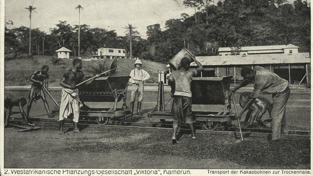 Unter Aufsicht eines deutschen Kolonisten verladen Arbeiter 1914 in Kamerun Kakaobohnen.