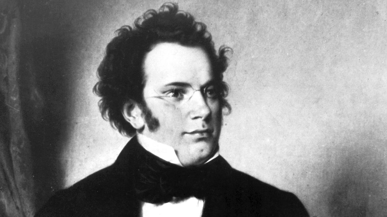 Was Ist Ein Kunstlied Franz Schuberts "Winterreise" und "Schwanengesang" - Meilensteine der