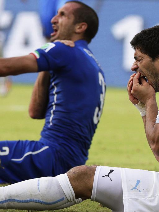 Der italienische Abwehrspieler Giorgio Chiellini (l) weist auf seine Schulter, in die Uruguays Stürmer Luis Suárez (r) gebissen hat. Chiellini hält sich die Schulter, Suarez fasst an seine Zähne.