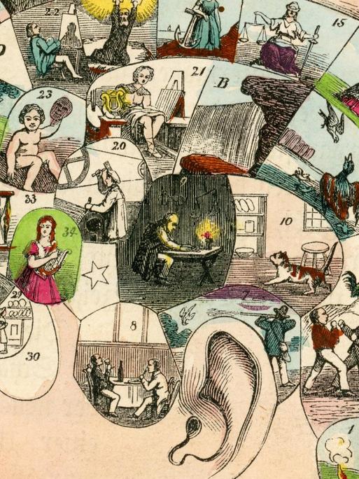 Historische Zeichnung - Visualisierung des Gehirns, Berlin ca 1866