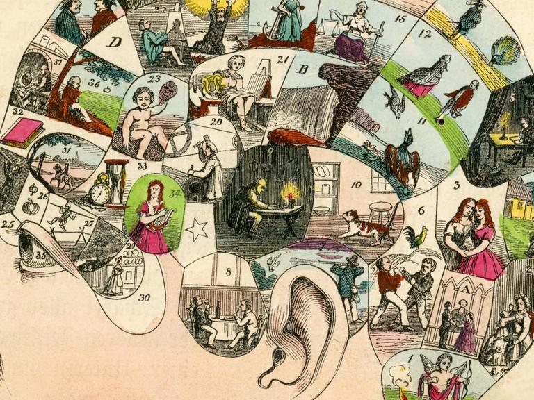 Historische Zeichnung - Visualisierung des Gehirns, Berlin ca 1866