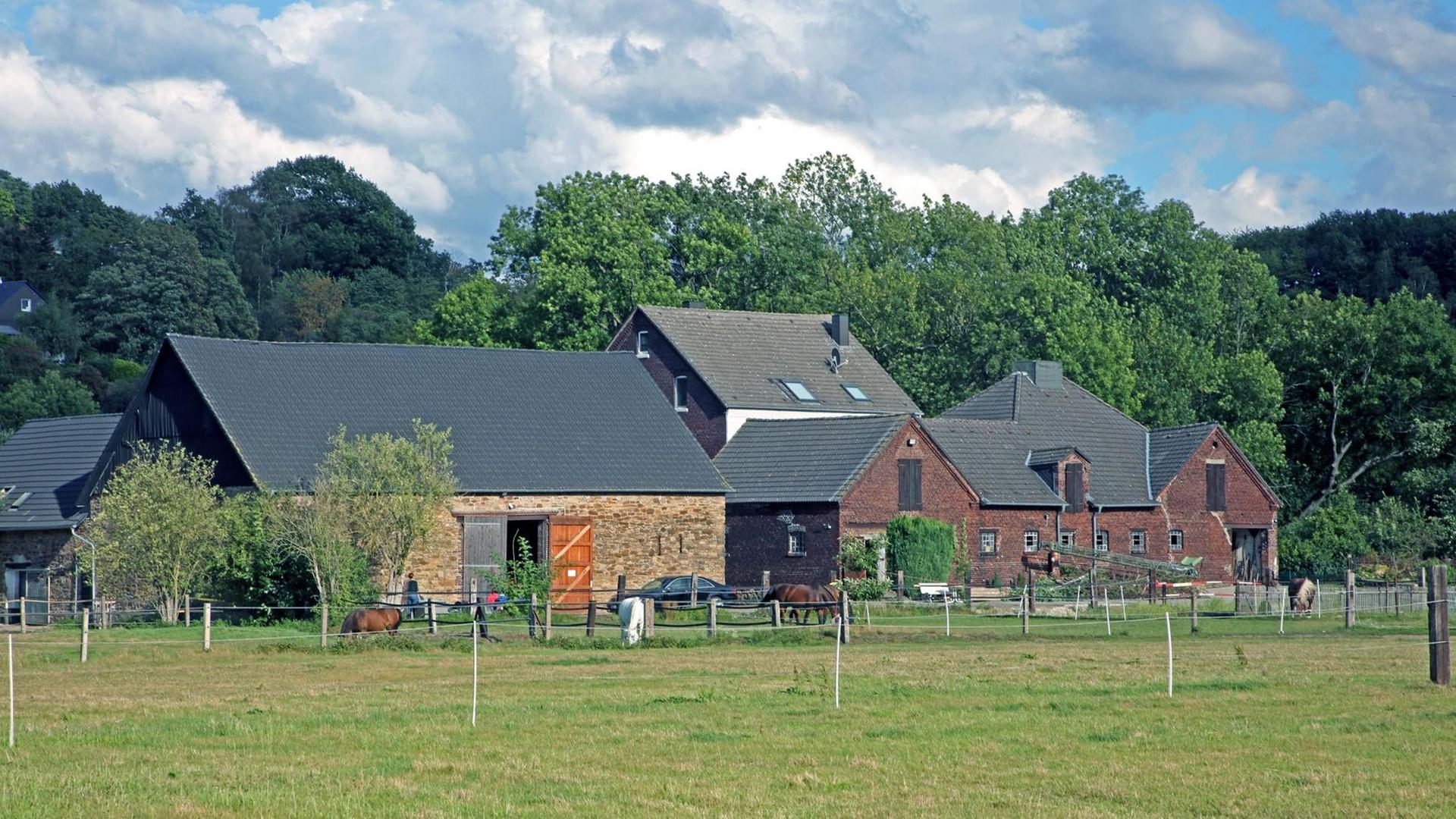 Ein alter Bauernhof mit Weideflächen, im Hintergrund Wald und leicht bewölkter Himmel. Ein alter Bauernhof mit Weideflächen, im Hintergrund Wald und leicht bewölkter Himmel.