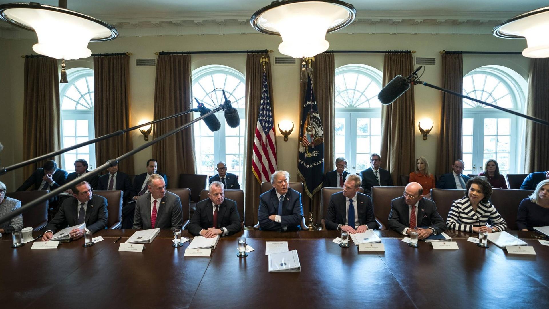 Donald Trump im US-Kabinett