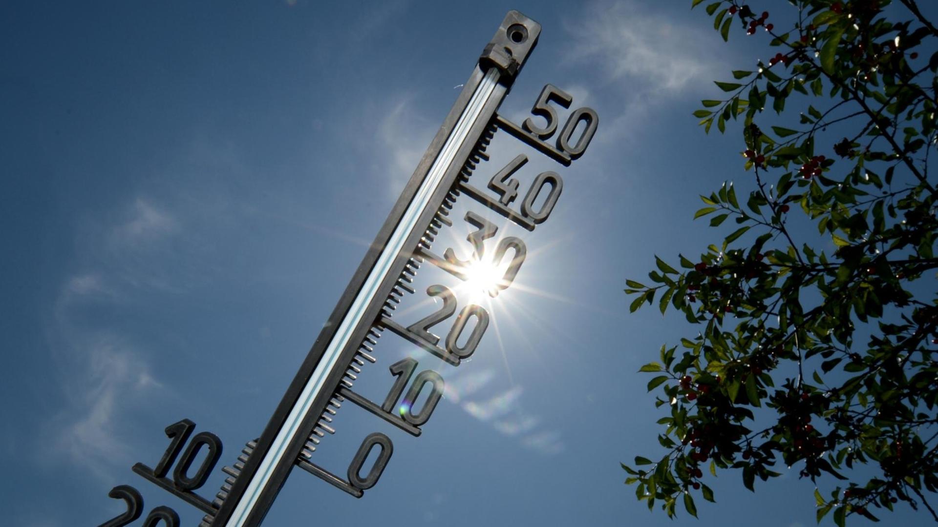 Ein Thermometer vor blauem Himmel