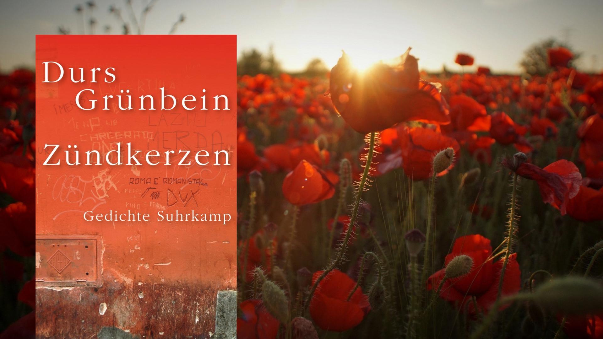 Cover des Buches Zündkerzen vor rotem Blumenfeld.