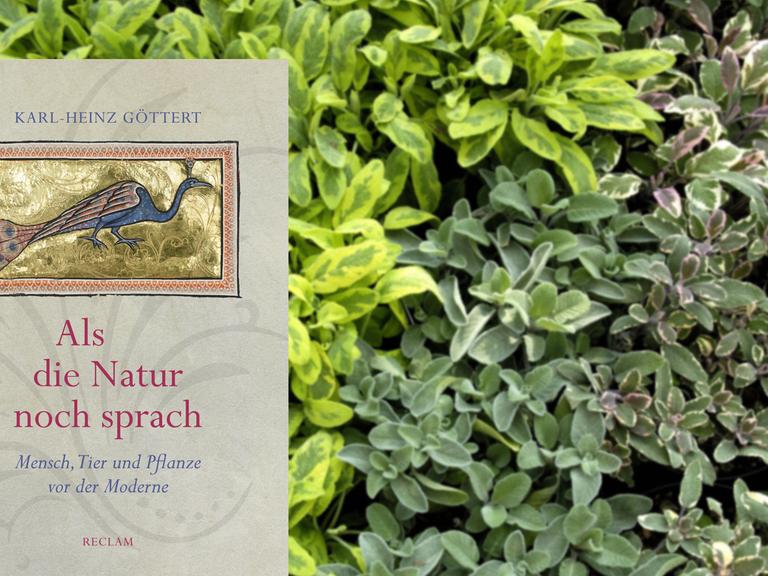 Im Vordergrund ist das Cover des Buches "Als die Natur noch sprach", im Hintergrund ist das weichgezeichnete Foto einer Draufsicht auf ein Beet mit verschiedenen Kräutern.
