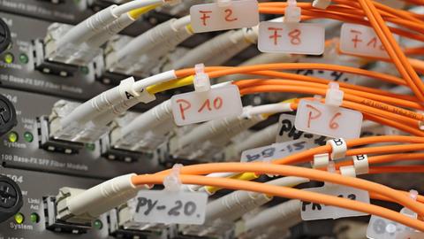 Netzwerkkabel an Internet-Servern