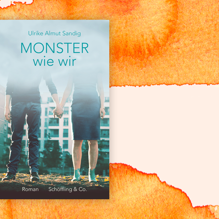 Zu sehen ist das Cover des Buches "Monster wie wir" von Ulrike Almut Sandig.