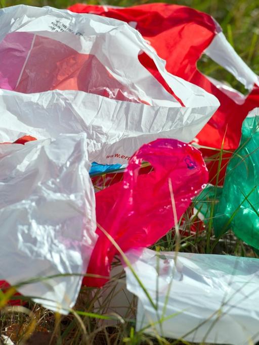 Plastiktüten in verschiedenen Farben liegen auf einer grünen Wiese