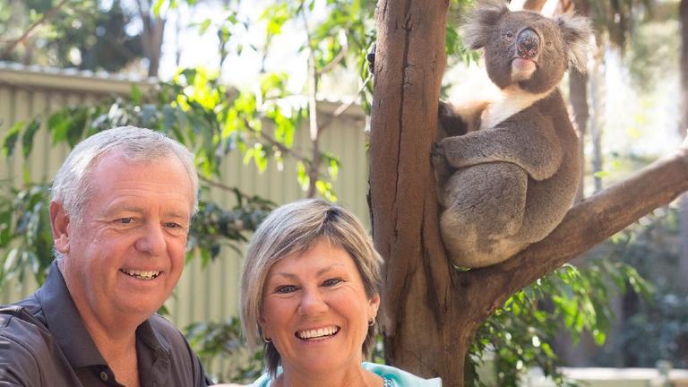 Ein Ehepaar fotografiert sich vor einem Baum, auf dem ein Koala sitzt.