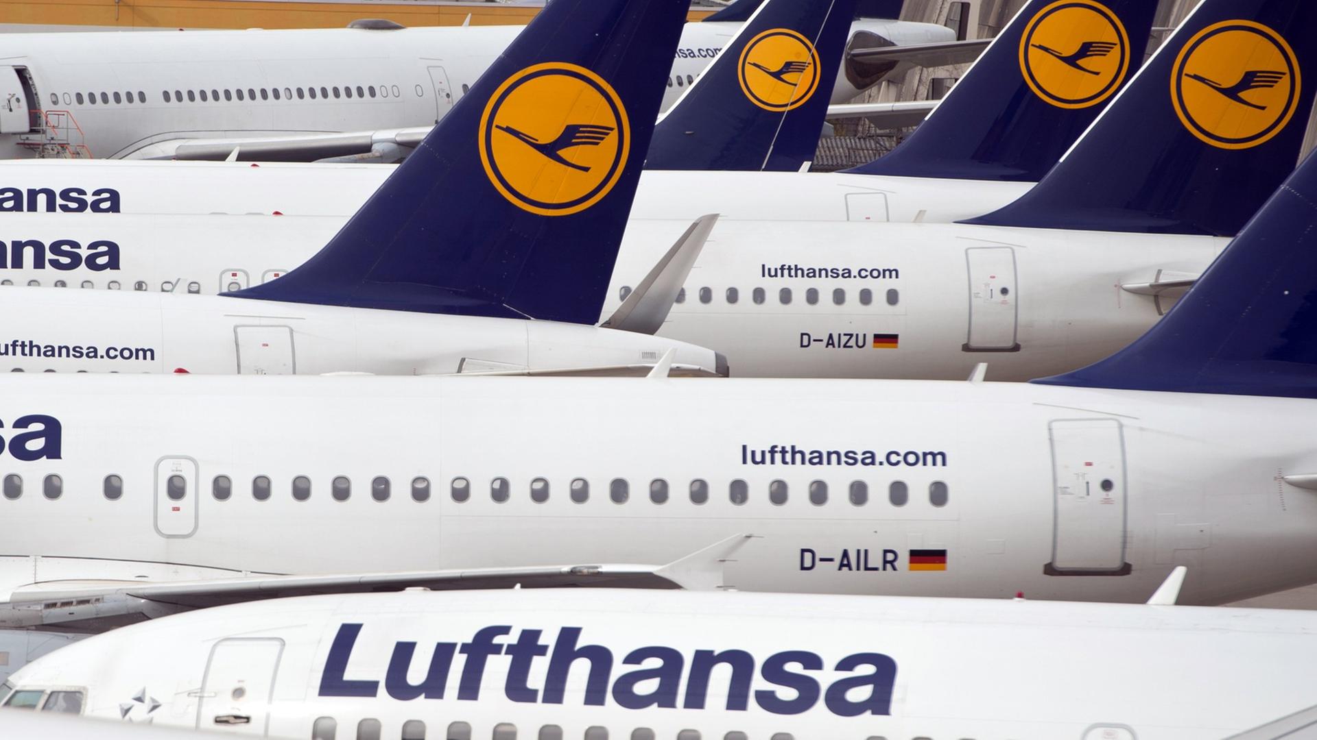 Mehrere Lufthansa-Flugzeuge parken am Frankfurter Flughafen.