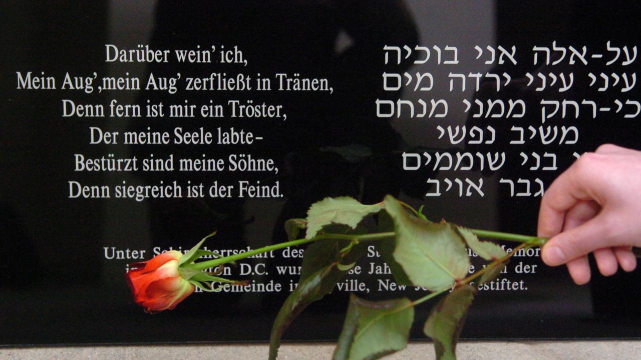 In der Gedenkstätte für die Euthanasie-Opfer in Bernburg wird eine Rose auf eine Gedenktafel gelegt. Ein Teil der psychiatrischen Landes-Heil- und Pflegeanstalt war in der Nazi-Zeit eine der sechs «Euthanasie»-Anstalten. Darin wurden kranke und behinderte Menschen sowie Häftlinge aus sechs Konzentrationslagern durch Gas ermordet. Foto: Peter Förster +++(c) dpa - Report+++