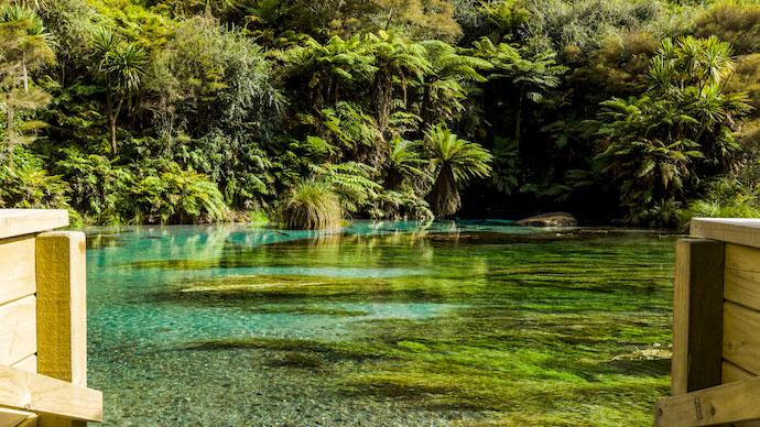 Neuseeland: Blue Spring in Putaruru