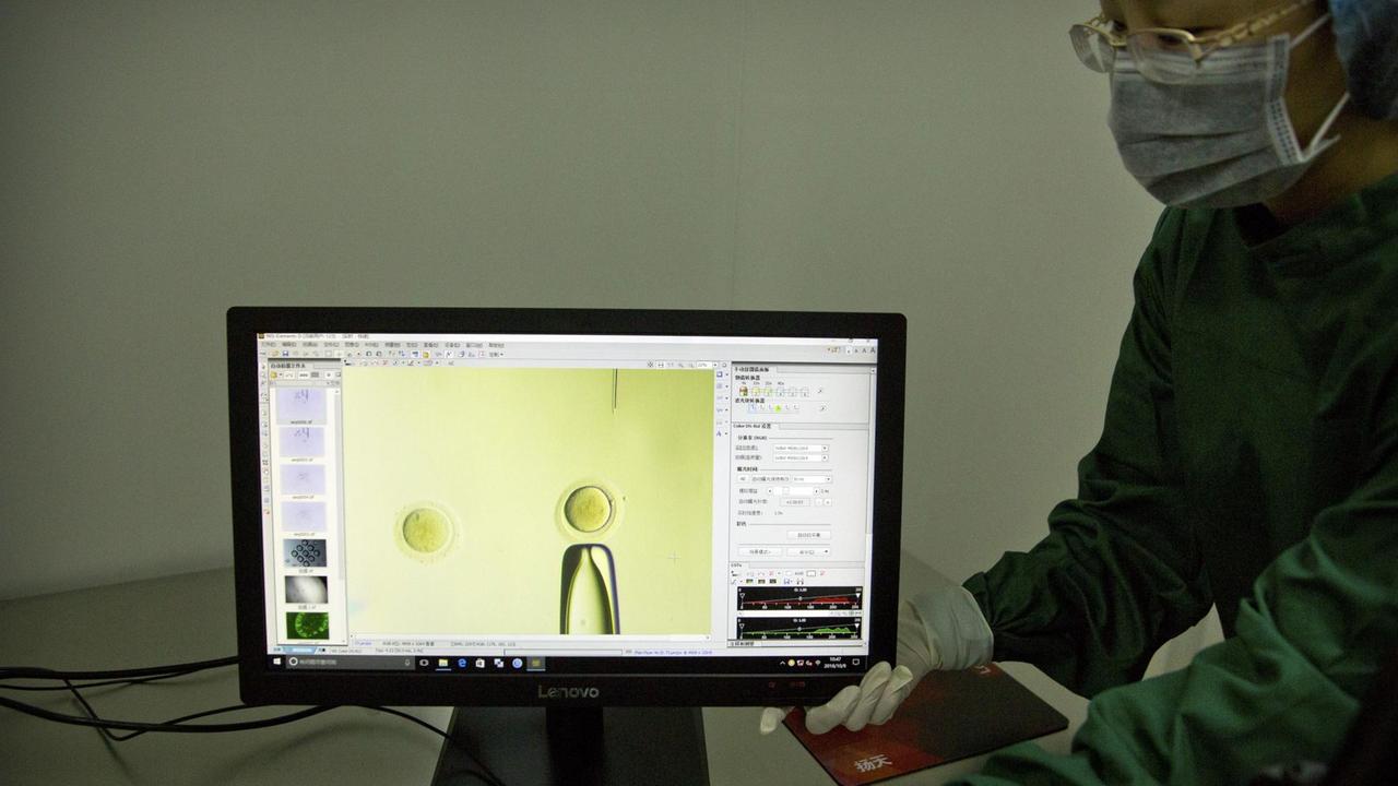 Auf einem Monitor ist das Youtube-Video  zu sehen, in dem der chinesische Wissenschaftler He Jiankui die Gene eines Embroys verändert.
