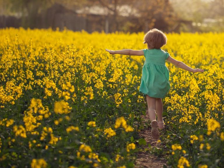 Rückenansicht eines kleinen Mädchens, das an einem Sommertag ins leuchtend gelbe Rapsfeld läuft.