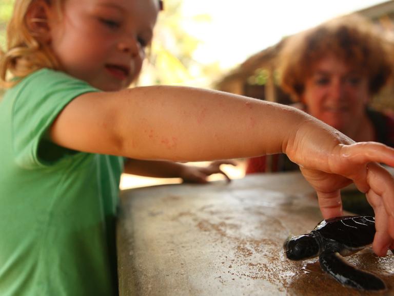 Ein dreijähriges Mädchen hebt eine kleine Schildkröte vorsichtig hoch und setzt sie auf einem Balken ab.