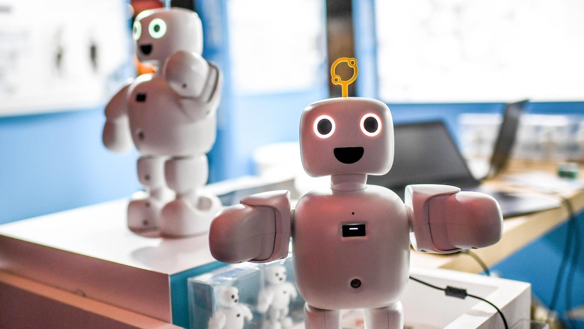 Der Roboter "Pibo" wird auf der Technik-Messe IFA, der weltweit größten Fachmesse für Unterhaltungs- und Gebrauchselektronik vorgestellt.