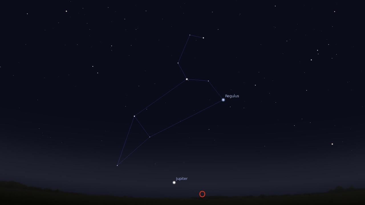Das Sternbild Löwe steht derzeit gegen 2 Uhr morgens über dem Osthorizont.
