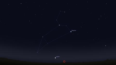 Das Sternbild Löwe steht derzeit gegen 2 Uhr morgens über dem Osthorizont.