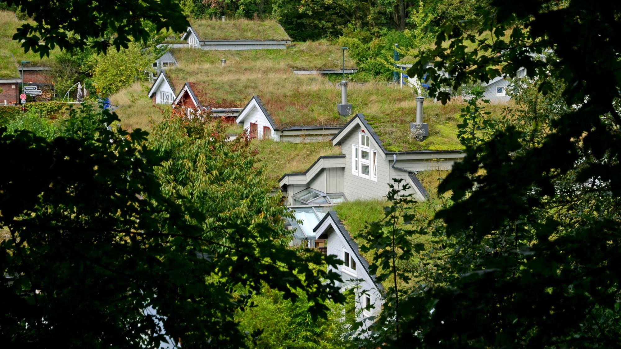 Mehrere Häuser mit komplett begrüntem Dach