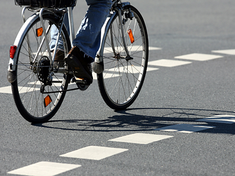 Ein Fahrradfahrer fährt in Münster zwischen den Begrenzungsstreifen eines Radwegs.