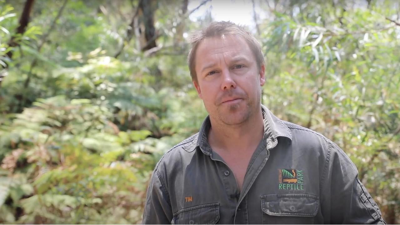 Der Ranger Tim Faulkner steht im Wald und schaut in die Kamera.